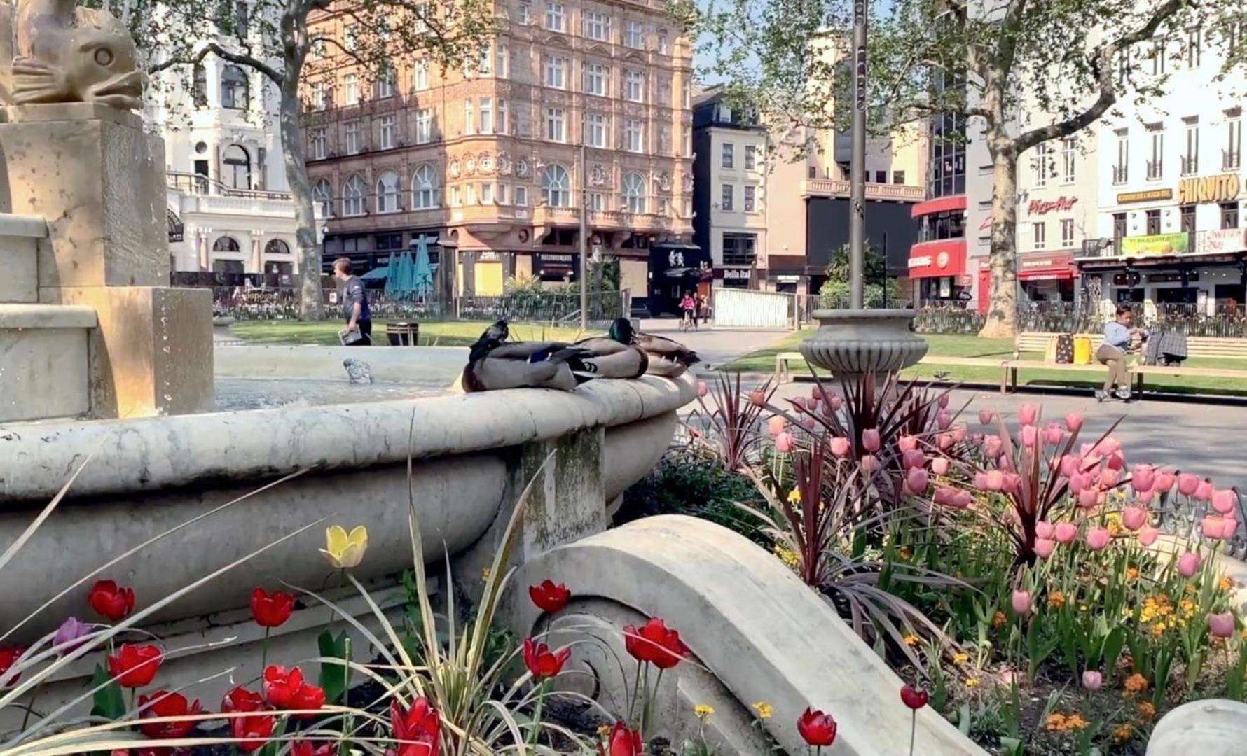 Fantastic 1 Bedroom Flat Leicester Square West End Лондон Екстериор снимка